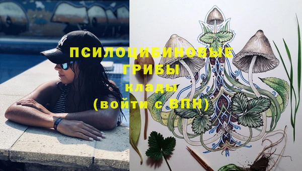 ГАЛЛЮЦИНОГЕННЫЕ ГРИБЫ Касимов