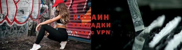ГАЛЛЮЦИНОГЕННЫЕ ГРИБЫ Касимов