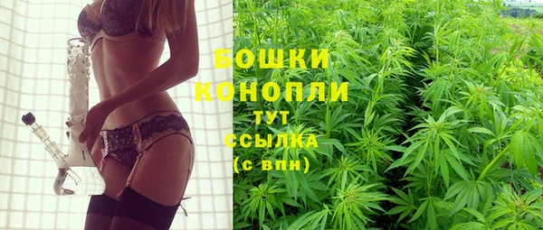 ГАЛЛЮЦИНОГЕННЫЕ ГРИБЫ Касимов