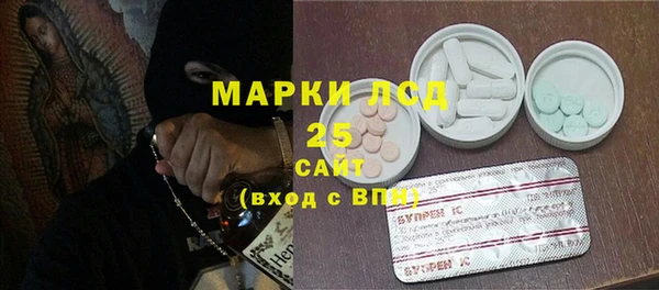 ГАЛЛЮЦИНОГЕННЫЕ ГРИБЫ Касимов