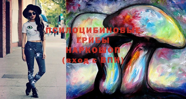 ГАЛЛЮЦИНОГЕННЫЕ ГРИБЫ Касимов