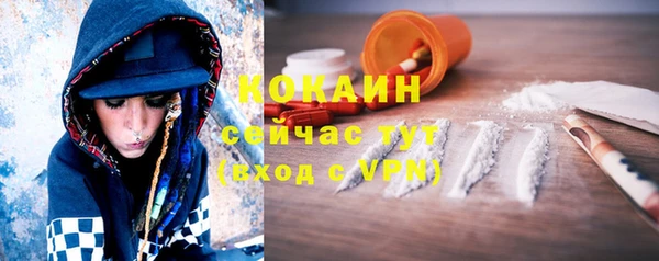 ГАЛЛЮЦИНОГЕННЫЕ ГРИБЫ Касимов