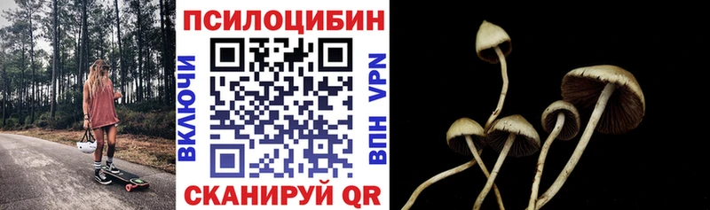 Галлюциногенные грибы мицелий  Купить где  Злынка 