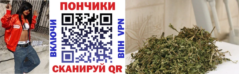Каннабис AK-47  Купить  Злынка 